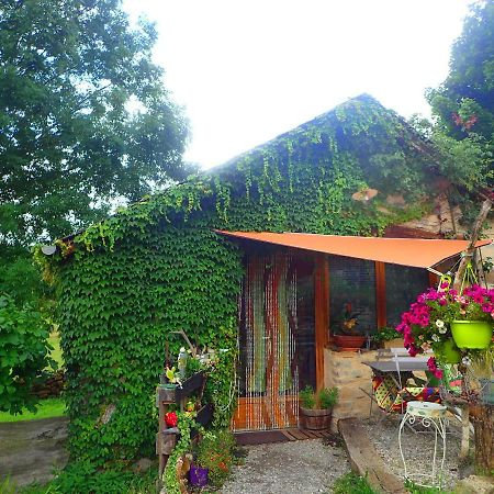 Mas De La Boheme - L'Hermet Bed & Breakfast Saint-Léons Dış mekan fotoğraf