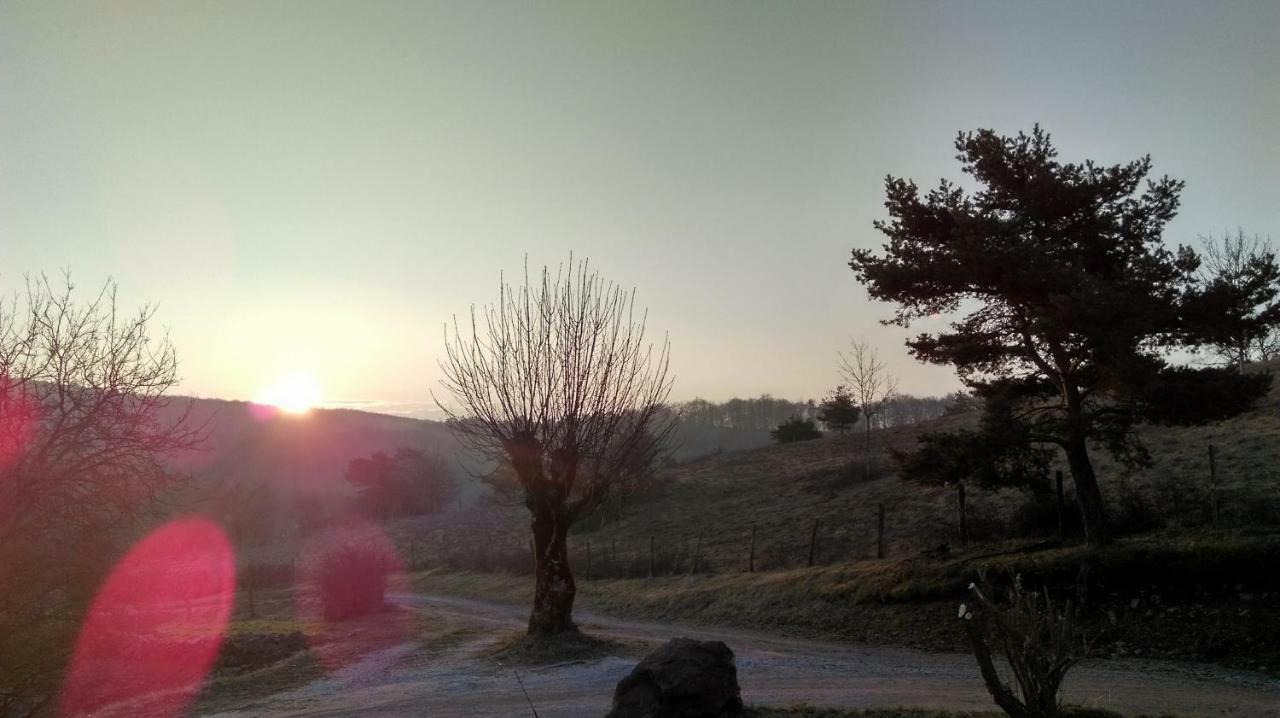 Mas De La Boheme - L'Hermet Saint-Léons Dış mekan fotoğraf